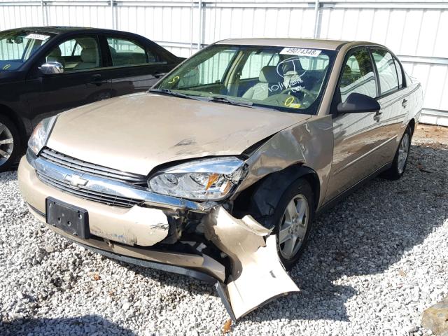 1G1ZT54895F223209 - 2005 CHEVROLET MALIBU LS 金色 照片 2