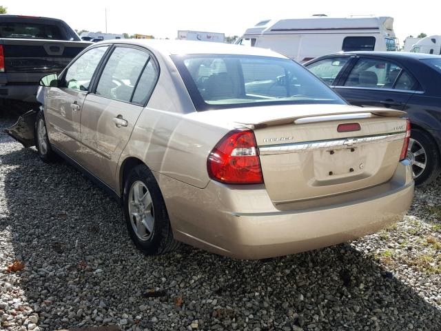 1G1ZT54895F223209 - 2005 CHEVROLET MALIBU LS 金色 照片 3