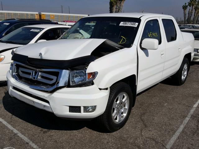 2HJYK16409H502492 - 2009 HONDA RIDGELINE WHITE photo 2