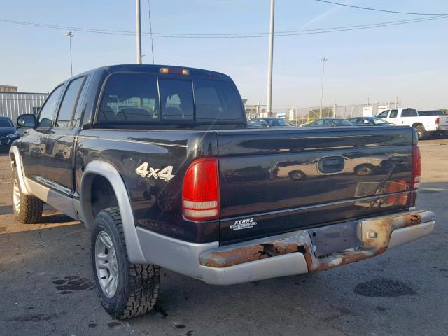 1D7HG48N83S204159 - 2003 DODGE DAKOTA QUA BLACK photo 3