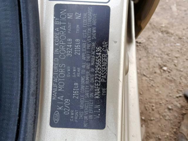 KNAFE222295665436 - 2009 KIA SPECTRA EX GOLD photo 10