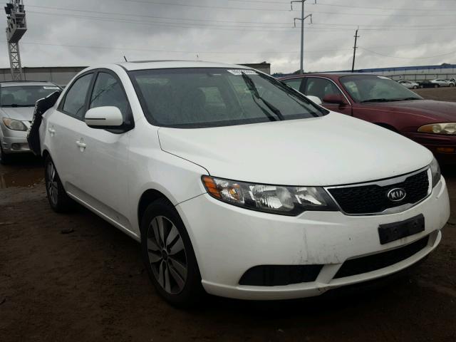 KNAFU4A29D5674028 - 2013 KIA FORTE EX WHITE photo 1