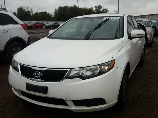 KNAFU4A29D5674028 - 2013 KIA FORTE EX WHITE photo 2