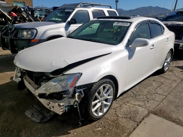 JTHBF5C22C5167516 - 2012 LEXUS IS 250 WHITE photo 2