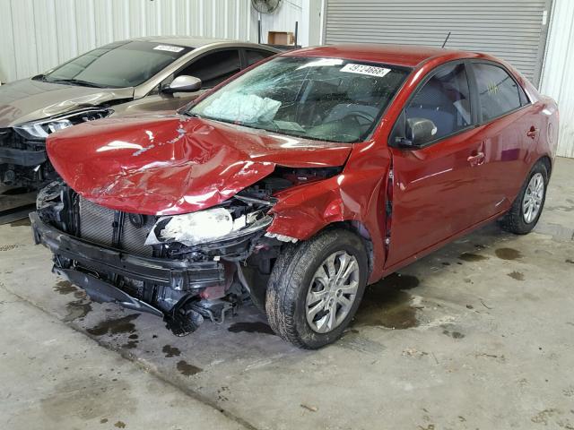 KNAFU4A27A5051583 - 2010 KIA FORTE EX RED photo 2