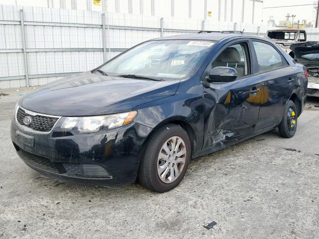 KNAFU4A21C5497652 - 2012 KIA FORTE EX BLACK photo 2