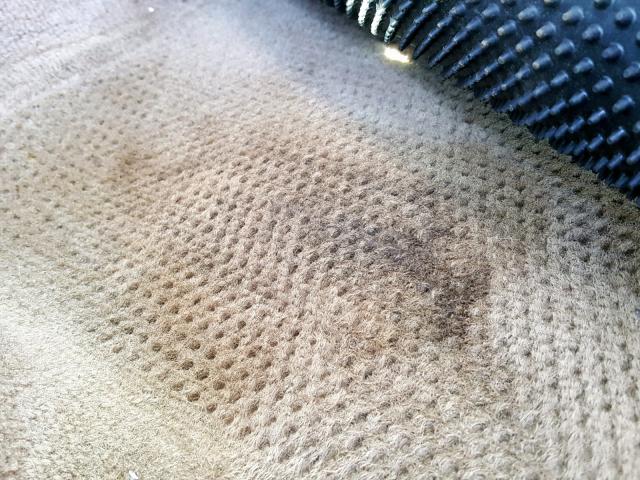 1G2NF52E64C141531 - 2004 PONTIAC GRAND AM S RED photo 9