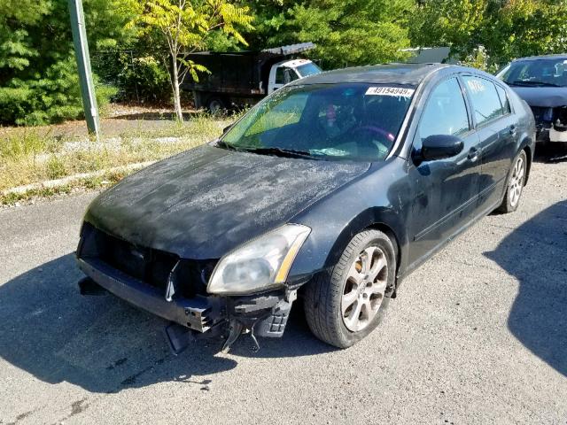 1N4BA41E17C821887 - 2007 NISSAN MAXIMA SE BLACK photo 2