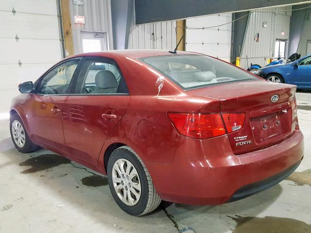 KNAFU4A23A5837624 - 2010 KIA FORTE EX RED photo 3