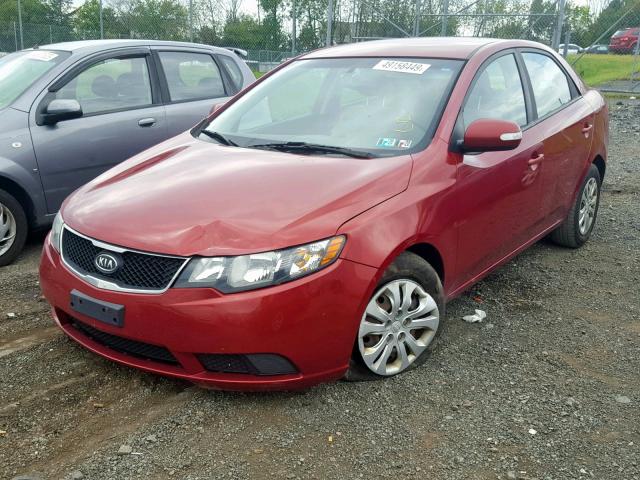 KNAFU4A24A5809878 - 2010 KIA FORTE EX RED photo 2