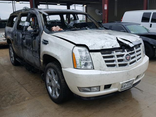 1GYFK66887R243396 - 2007 CADILLAC ESCALADE E WHITE photo 1