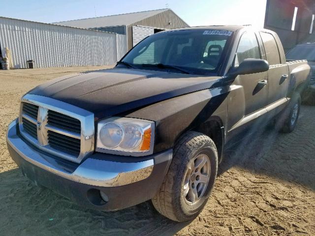 1D7HW48N75S316523 - 2005 DODGE DAKOTA QUA BLACK photo 2