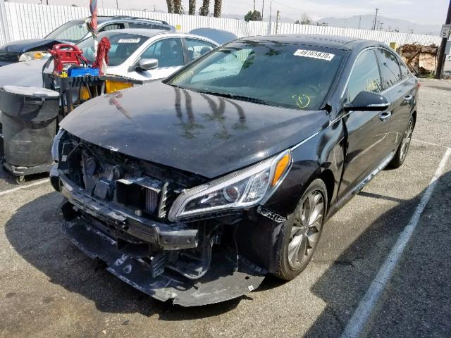 5NPE34AB2FH242563 - 2015 HYUNDAI SONATA SPO BLACK photo 2