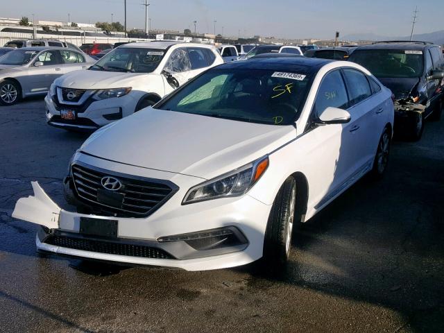 5NPE34AB8FH249890 - 2015 HYUNDAI SONATA SPO WHITE photo 2