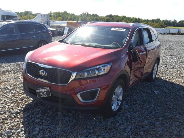 5XYPG4A38HG253566 - 2017 KIA SORENTO LX MAROON photo 2