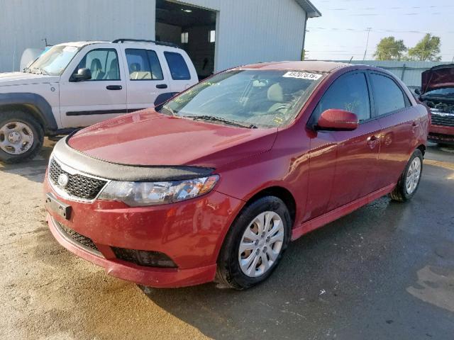 KNAFU4A28C5492187 - 2012 KIA FORTE EX RED photo 2