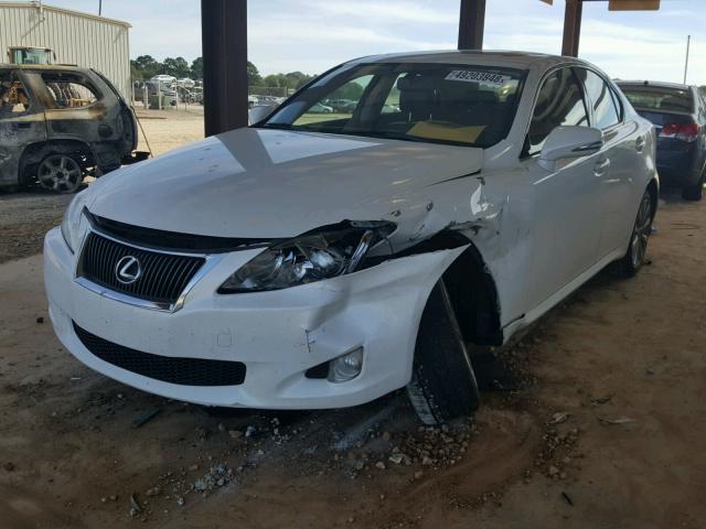 JTHCF5C27A5043775 - 2010 LEXUS IS 250 WHITE photo 2