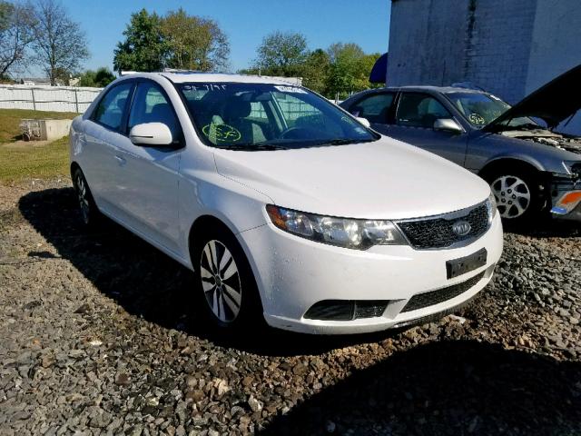 KNAFU4A22D5690524 - 2013 KIA FORTE EX WHITE photo 1