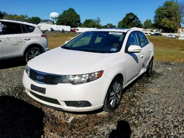 KNAFU4A22D5690524 - 2013 KIA FORTE EX WHITE photo 2