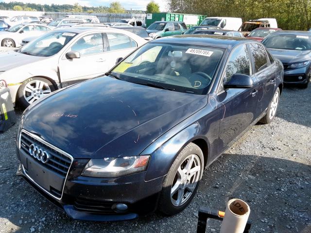 WAULF78K49N032263 - 2009 AUDI A4 2.0T QU BLUE photo 2