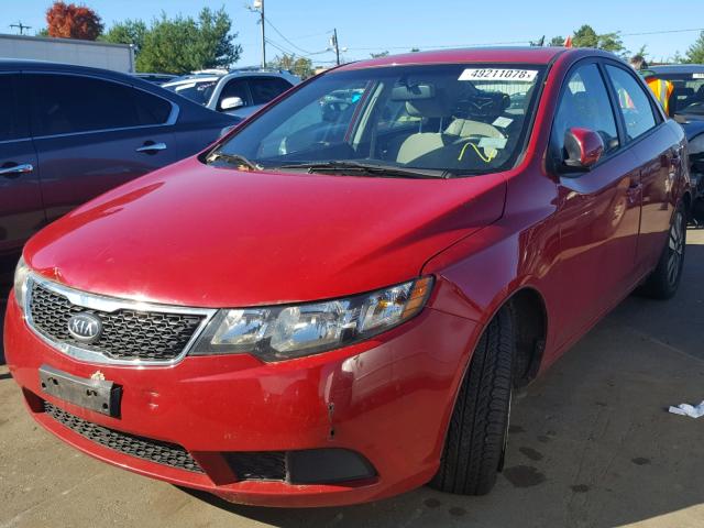 KNAFU4A20D5709426 - 2013 KIA FORTE EX RED photo 2