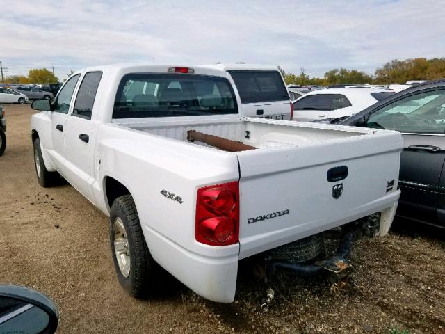 1D3HW38NX8S581629 - 2008 DODGE DAKOTA SXT WHITE photo 3