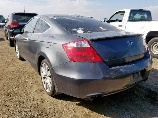 1HGCS22889A000231 - 2009 HONDA ACCORD EXL GRAY photo 3