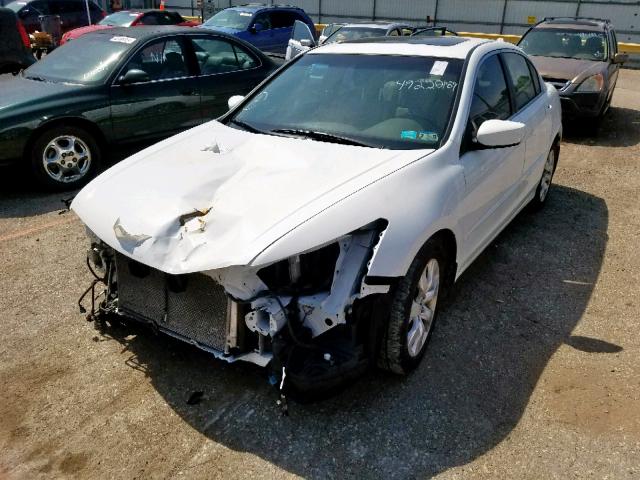 JHMCP26878C042191 - 2008 HONDA ACCORD EXL WHITE photo 2