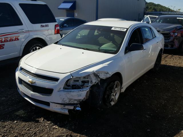 1G1ZB5EB1A4135760 - 2010 CHEVROLET MALIBU LS 白色 照片 2