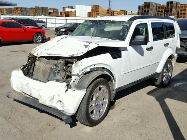 1D4PT4GK2BW556351 - 2011 DODGE NITRO HEAT WHITE photo 2