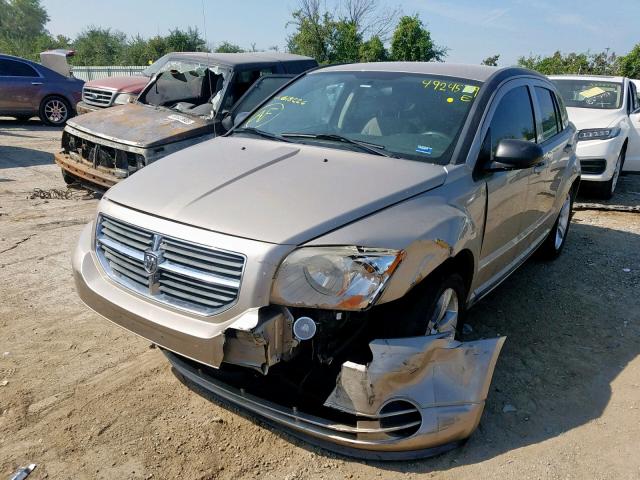 1B3CB4HA3AD618226 - 2010 DODGE CALIBER SX GOLD photo 2