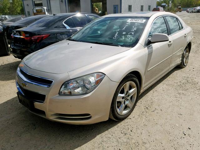 1G1ZC5EB1AF274756 - 2010 CHEVROLET MALIBU 1LT TAN photo 2