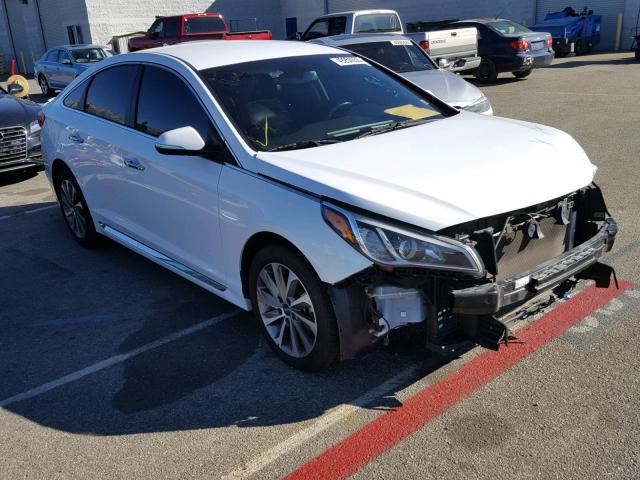 5NPE34AF7FH055404 - 2015 HYUNDAI SONATA SPO WHITE photo 1