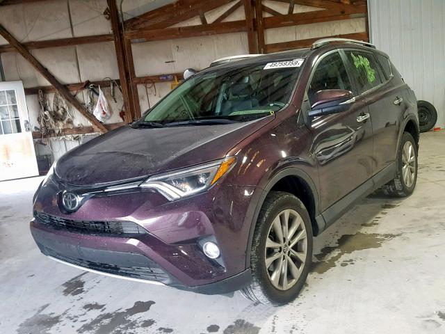 2T3YFREV5GW240743 - 2016 TOYOTA RAV4 LIMIT PURPLE photo 2