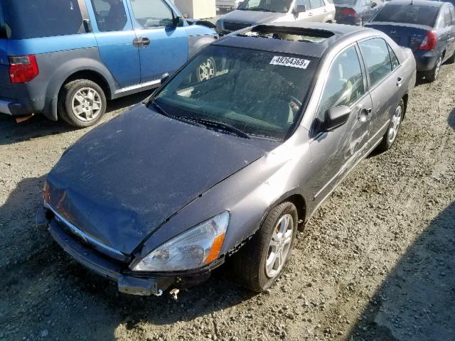 1HGCM56757A163168 - 2007 HONDA ACCORD EX GRAY photo 2