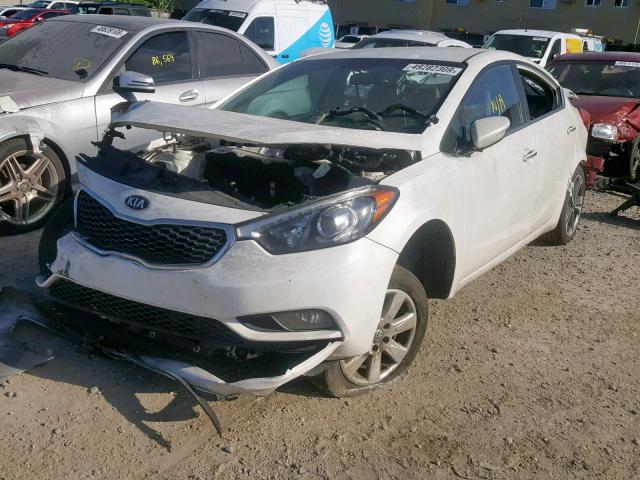 KNAFX4A82E5121993 - 2014 KIA FORTE EX WHITE photo 2