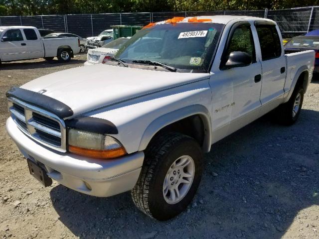 1B7HG48N82S586718 - 2002 DODGE DAKOTA QUA WHITE photo 2