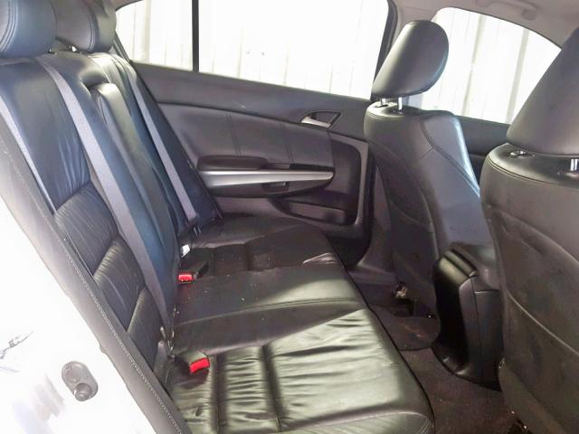 JHMCP26888C039008 - 2008 HONDA ACCORD EXL SILVER photo 6