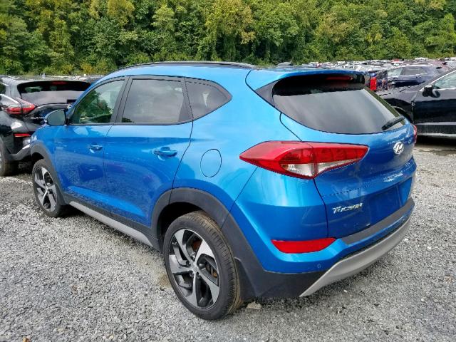 KM8J3CA24HU555482 - 2017 HYUNDAI TUCSON LIM BLUE photo 3