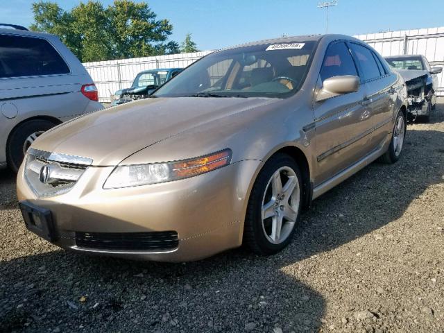 19UUA66246A019262 - 2006 ACURA 3.2TL GOLD photo 2