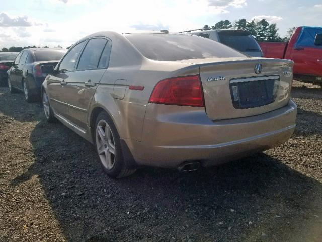 19UUA66246A019262 - 2006 ACURA 3.2TL GOLD photo 3