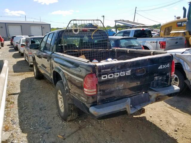 1B7HG2AN11S316355 - 2001 DODGE DAKOTA QUA BLACK photo 3