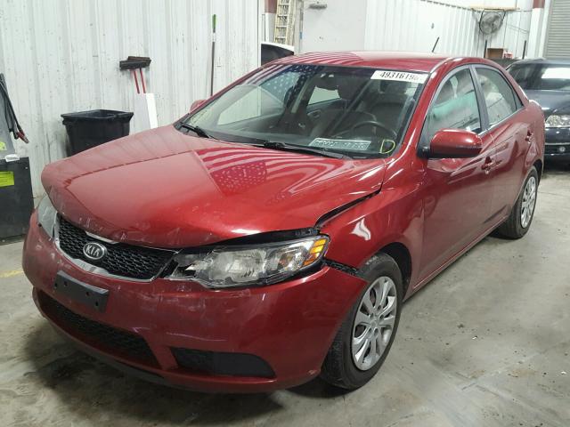 KNAFU4A25C5557710 - 2012 KIA FORTE EX RED photo 2