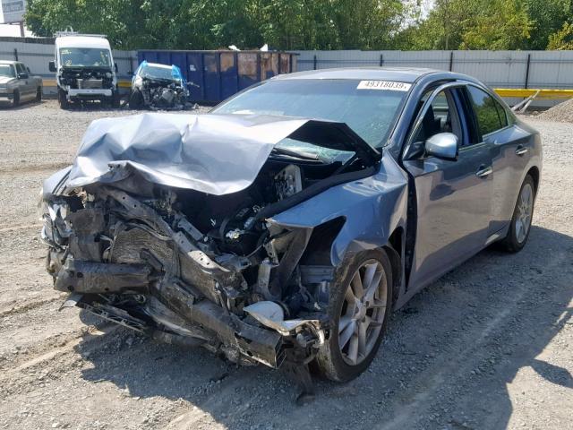 1N4AA5AP8CC837355 - 2012 NISSAN MAXIMA S BLUE photo 2