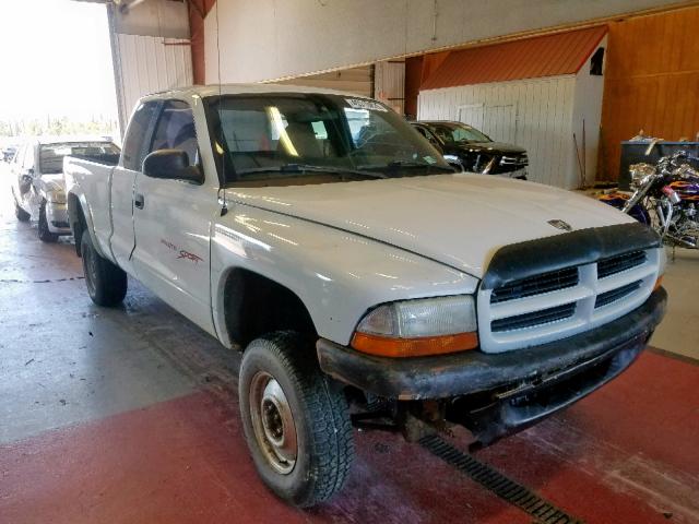 1B7GG22Y3XS229098 - 1999 DODGE DAKOTA WHITE photo 1