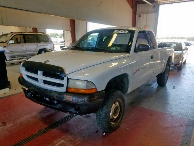 1B7GG22Y3XS229098 - 1999 DODGE DAKOTA WHITE photo 2