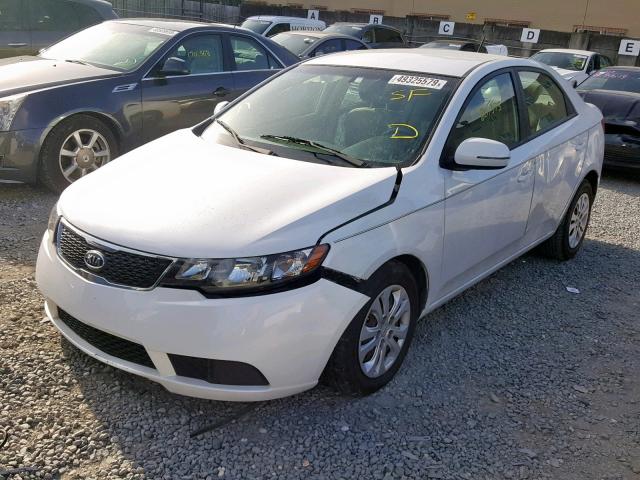 KNAFU4A23C5491495 - 2012 KIA FORTE EX WHITE photo 2