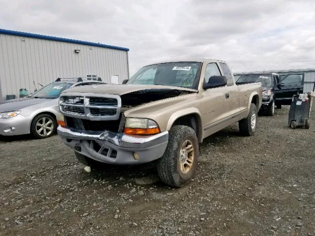 1B7GG42N52S522589 - 2002 DODGE DAKOTA SLT TAN photo 2