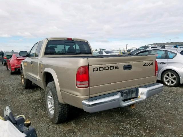 1B7GG42N52S522589 - 2002 DODGE DAKOTA SLT TAN photo 3