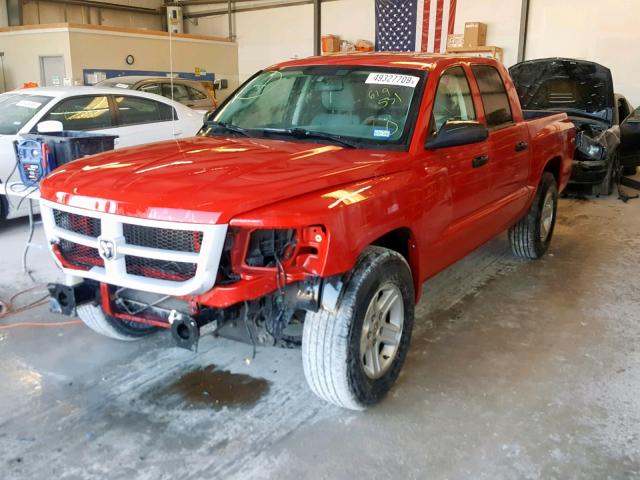 1D7RE3GK3BS619531 - 2011 DODGE DAKOTA SLT RED photo 2